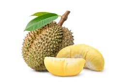 Sầu Riêng
